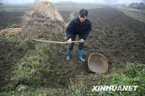 廣西部分旱區喜降春雨