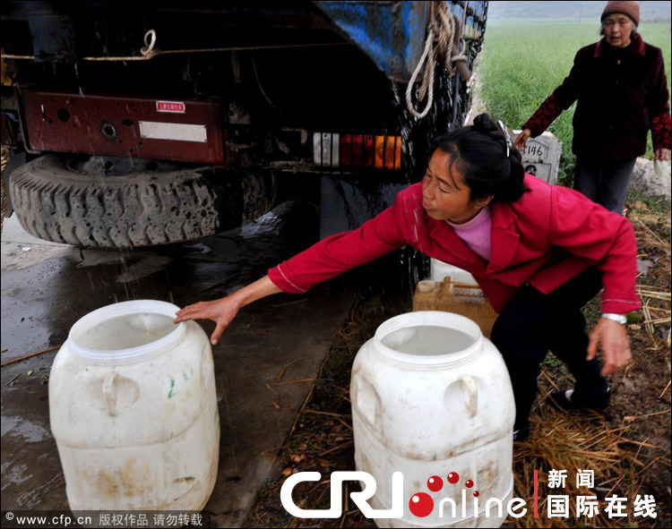 云南遭遇大旱 焦渴無奈地縫覓水(組圖)