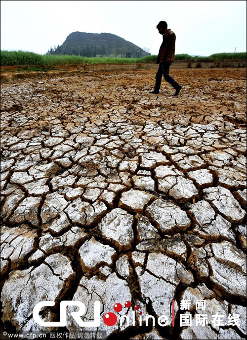 云南遭遇大旱 焦渴無奈地縫覓水(組圖)