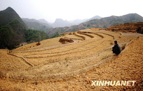 廣西12個市出現旱情 部分地區達到特大干旱等級