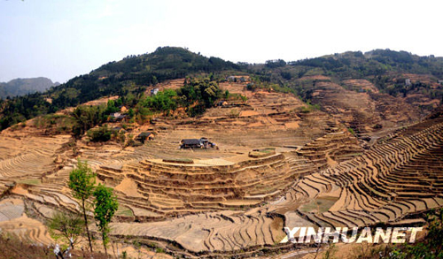廣西12個市出現旱情 部分地區達到特大干旱等級
