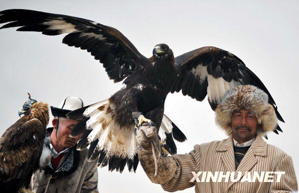 新疆“獵鷹之鄉”上演“空地大戰”