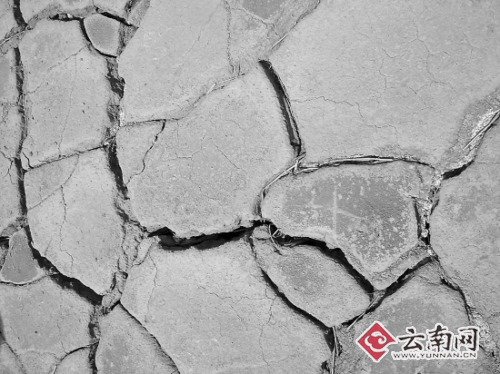 云南旱區(qū)裂縫能伸手掌 10小時拉趟水急哭村民