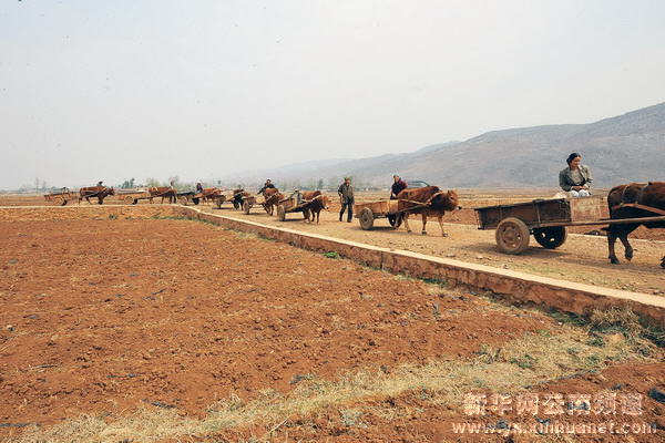 云南全力抗旱 確保群眾生活用水