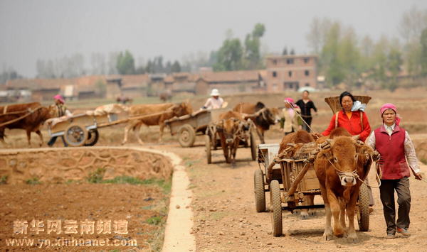云南全力抗旱 確保群眾生活用水