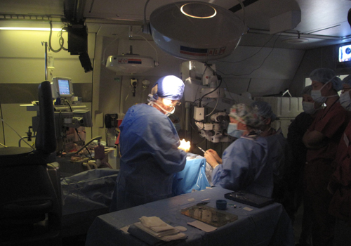 奧比斯眼科飛機醫院飛抵大連為眼病患者帶來福音