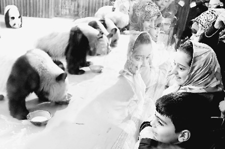 世博大熊貓“喜迎”國際友人