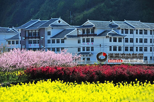 網曝張家界最牛鄉村學校