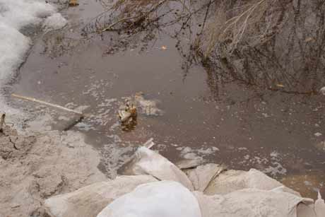 哈爾濱北方森林動物園園長回應動物生存狀況問題