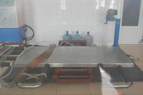 哈爾濱北方森林動物園園長回應動物生存狀況問題