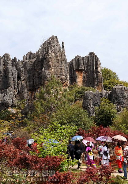 彝鄉(xiāng)風(fēng)情醉游人