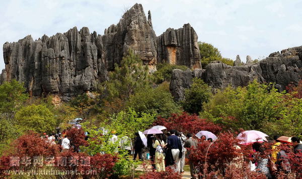 彝鄉風情醉游人