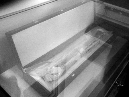 考古學者將篩選高陵內骨塊復原曹操面目