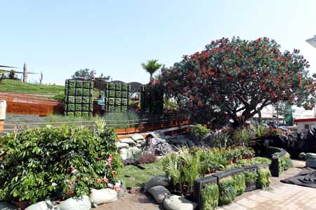 上海世博會園區各項建設進入尾聲[組圖]