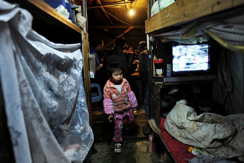 福州高樓旁的城市“柜族”