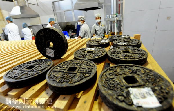 勐海普洱茶產(chǎn)量大幅提升