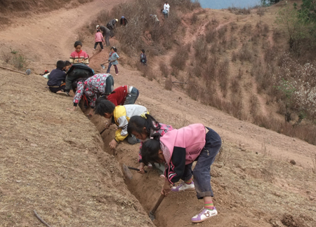 云南大理南澗：孩子出力齊抗旱