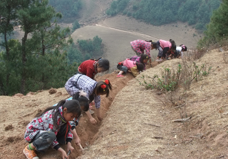 云南大理南澗：孩子出力齊抗旱