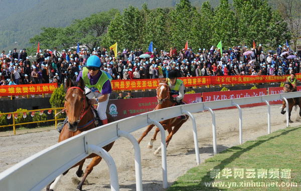 大理三月街賽馬會展開精彩競技