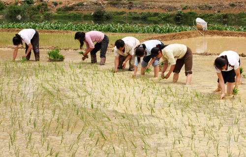 旱區處處忙春耕