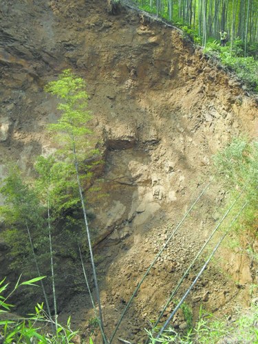 四川長寧突發(fā)地陷7天現(xiàn)26個天坑(組圖)