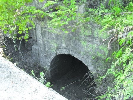 四川長寧突發(fā)地陷7天現(xiàn)26個天坑(組圖)