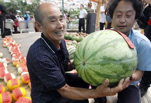 第22屆“興農杯”全國西甜瓜擂臺賽揭曉
