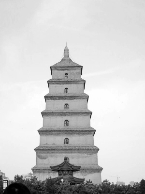 5國(guó)聯(lián)合絲路申遺 云南招募民間大使