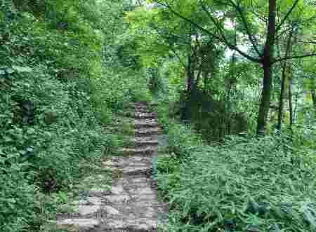 筠連:茶馬古道中的明代關卡“凌云關”