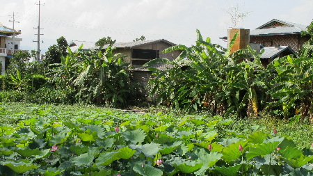 云南瑞麗邊境：一秋千蕩兩國