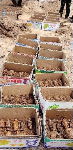 北京小區工地內挖出300余枚炸彈(組圖)