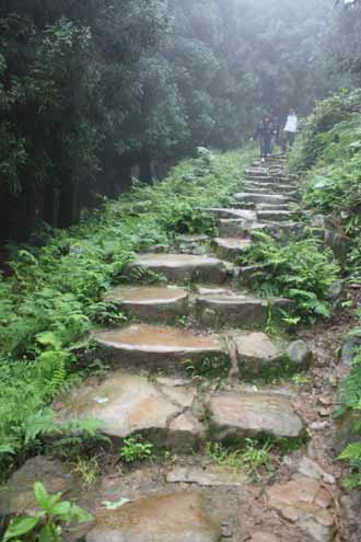 珙縣發(fā)現(xiàn)四公里長古石板道 疑為五尺道重要支線