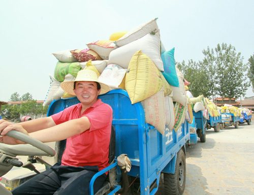 河南寧陵：農民售糧排長龍