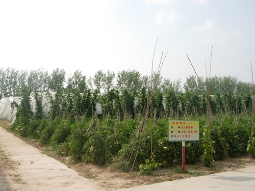 河南永城：敬老愛老“永城模式”讓夕陽分外紅