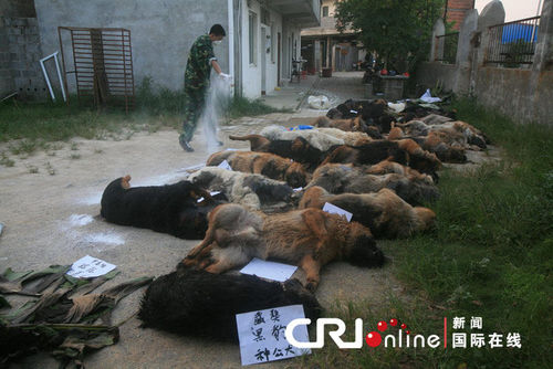 29只警犬服驅蟲藥后死亡