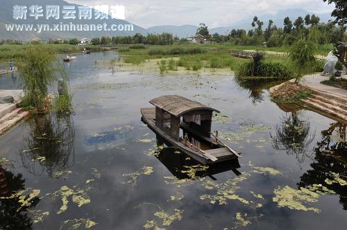 大理濕地保護(hù)見成效
