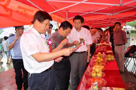 鄭州第六屆葡萄文化節開幕 盡享鄉村田園風情