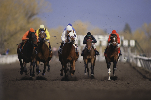 首屆中國金馬馬術文化旅游節(jié)揭開帷幕