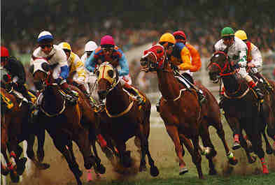 首屆中國金馬馬術(shù)文化旅游節(jié)揭開帷幕