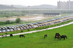 南京十運會賽馬場年虧損千萬成停車場(圖)