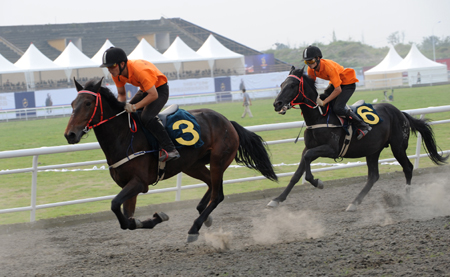 中國成都-2010首屆金馬馬術體育文化旅游節