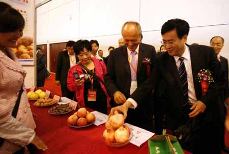 第四屆煙臺國際葡萄酒節(jié)開幕