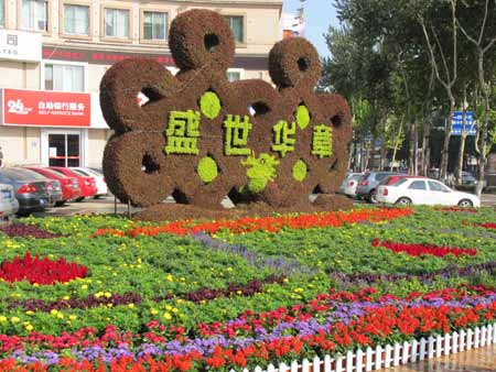600萬盆鮮花扮靚泉城濟(jì)南（圖）