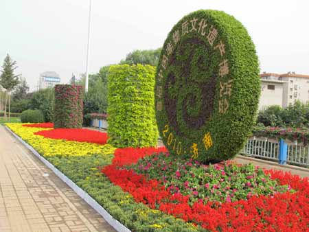 600萬盆鮮花扮靚泉城濟(jì)南（圖）