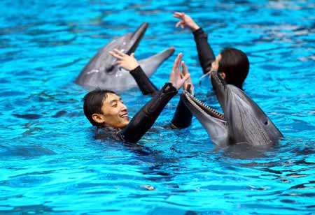 中國最大規模極地海洋動物館開館