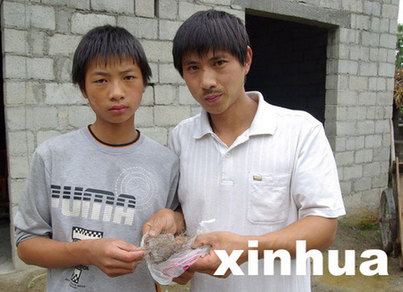 中國(guó)專家擬重新啟動(dòng)神農(nóng)架“野人”科學(xué)考察