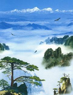 盤(pán)點(diǎn)中國(guó)門(mén)票最貴的十大景區(qū)