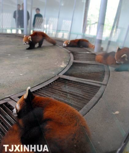 天氣轉(zhuǎn)涼暖籠舍