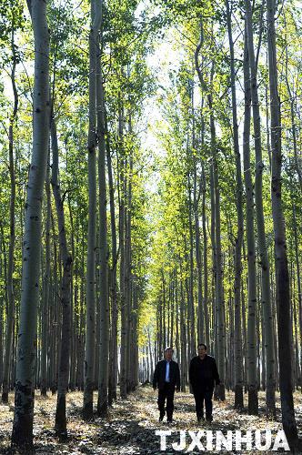 天津大力保護“京津之肺”