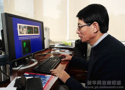 中國科學(xué)家在昆明成功培育出國內(nèi)首例轉(zhuǎn)基因獼猴